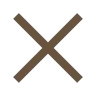 close icon